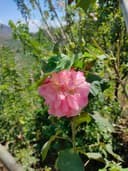 SRJ Beauty Saloon - Papanasam logo – Business in Chennai – on QTick