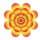 Mani spa logo – Business in Chennai – on QTick